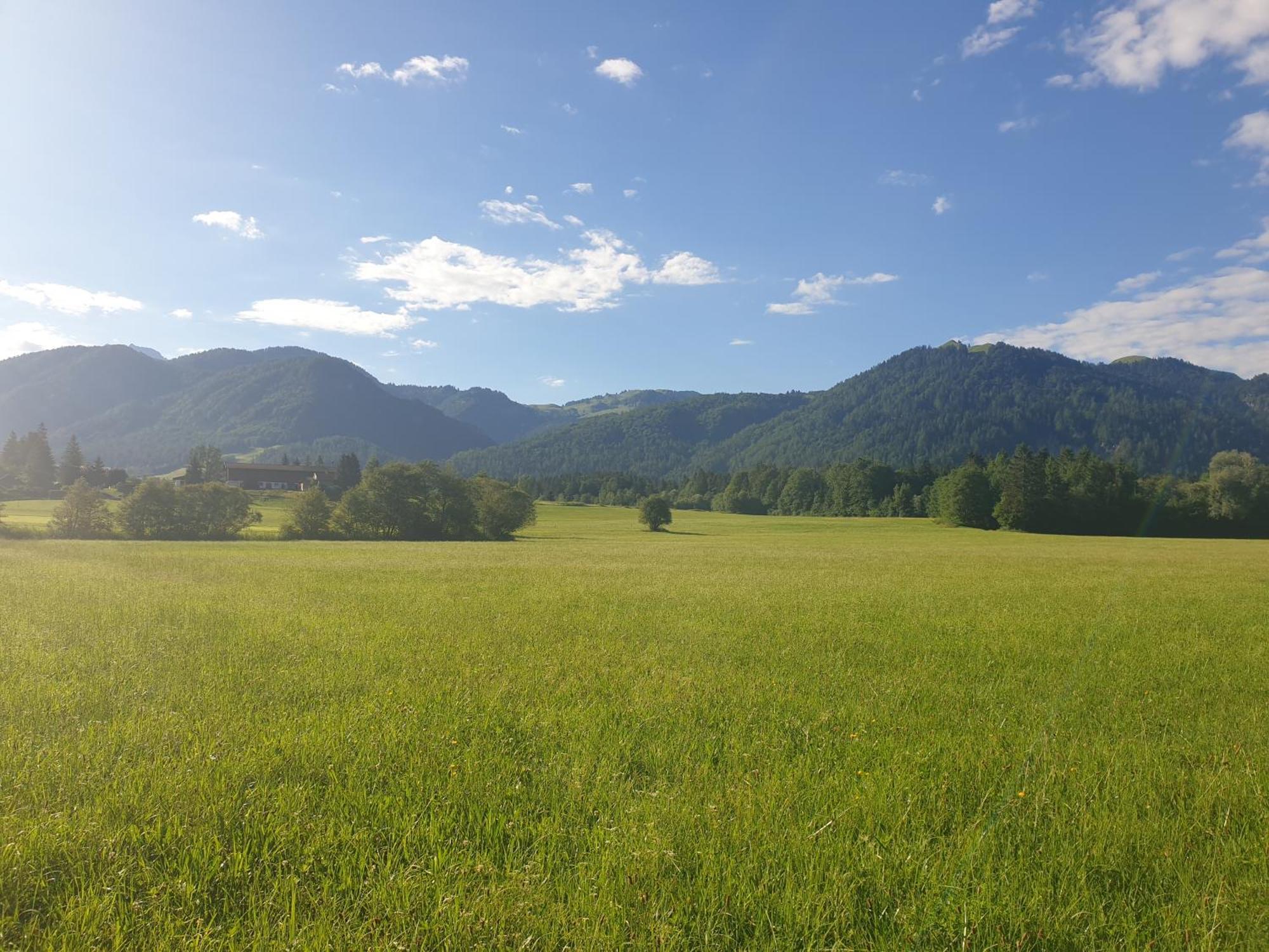 Appartementhaus Huettenberger Erpfendorf Εξωτερικό φωτογραφία