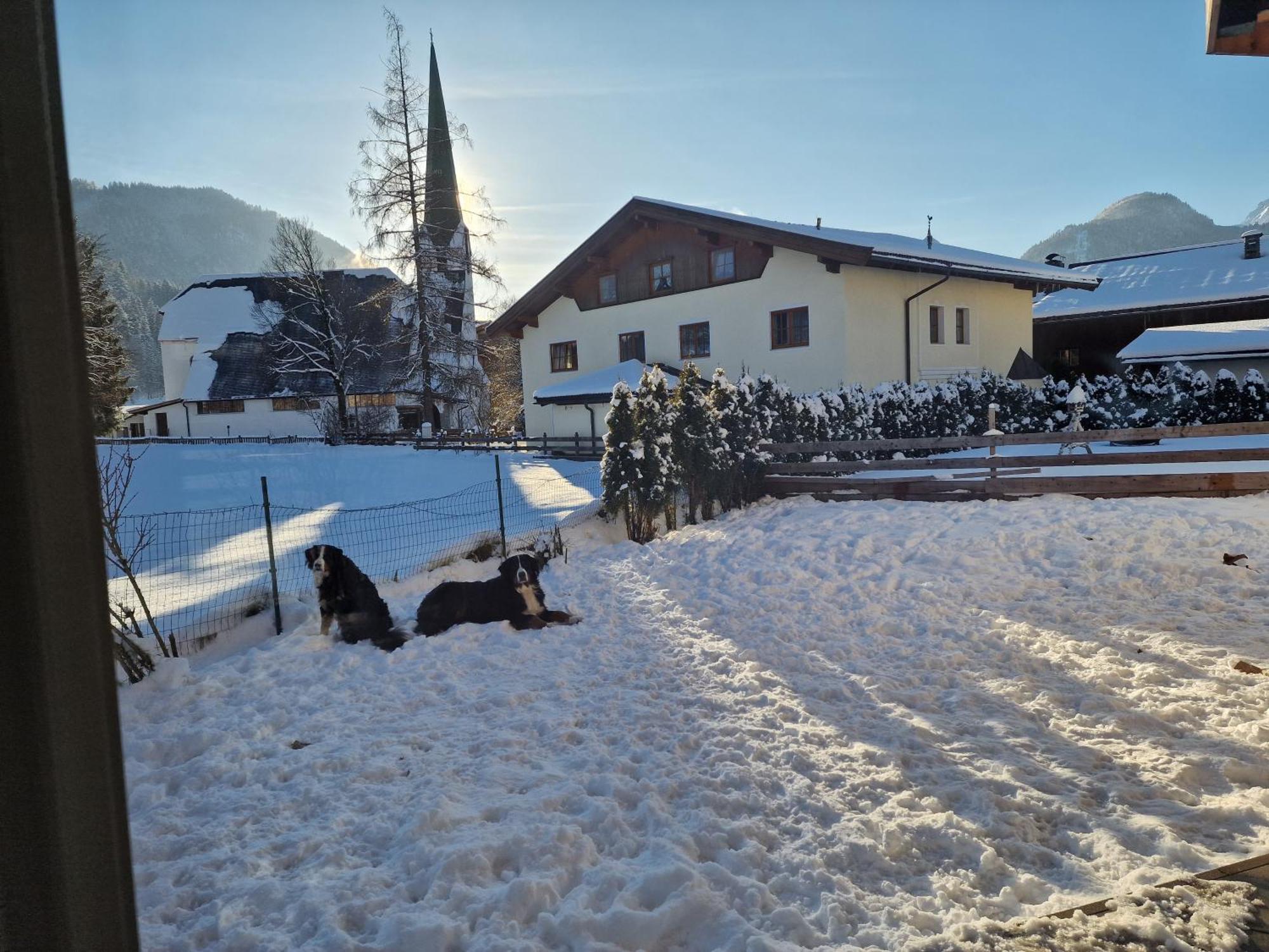 Appartementhaus Huettenberger Erpfendorf Εξωτερικό φωτογραφία